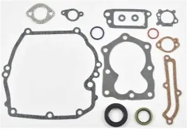 zestaw-uszczelek-briggs-quantum-493263-496117-bs