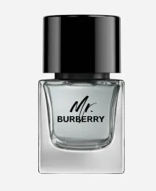 burberry-mr-burberry-edt-m-100-ml