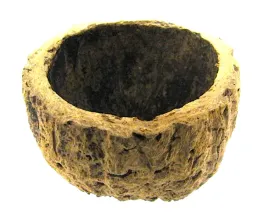 biobrazil-nut-orzech-brazylijski-ourico-kryjowka-naturalna-10cm