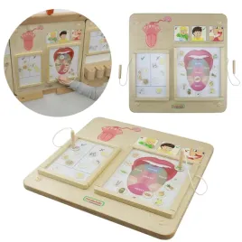 masterkidz-tablica-edukacyjna-zmysl-wzroku-montessori