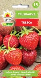 truskawka-tresca-nasiona-truskawki-slodkie-soczyste-do-gruntu-i-donicy