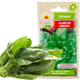szpinak-olbrzym-zimowy-10g-nasiona-szpinaku-olbrzymiego-zimuje-duze-liscie