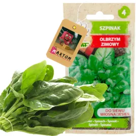 szpinak-olbrzym-zimowy-10g-nasiona-szpinaku-olbrzymiego-zimuje-duze-liscie