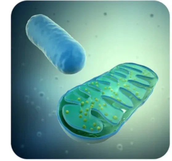 k2-intercell-plus-d3-witamina-k2-mk7-d3-90-kapsulek-niemcy-postac-kapsulki