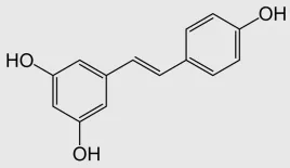 resweratrol-pure-compound-resveratrol-andgt98percent-50g