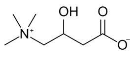 winian-l-karnityny-czysty-200g