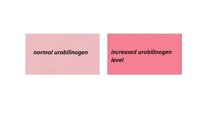 odczynnik-ehrlicha-spot-test-indole-tryptaminy-dmt-lsd-urobilinogen-5-ml-nazwa-odczynnika-ehrlich-reagent-spot-test-indole-5ml