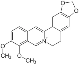 berberyna-czysta-berberin-flavonoid-50g-greater98percent