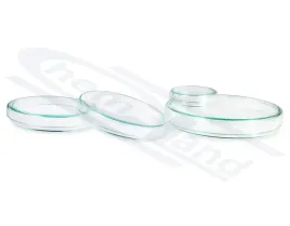 szalka-petriego-fi-100-dol-100-gora-108-h-15-boro-3-3