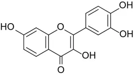 fisetyna-czysta-proszek-fisetin-flavonoid-10g-greater99percent
