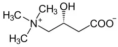 l-karnityna-karnityny-winian-100g