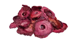 truskawki-plastry-10g-suszone-polskie-skworcu