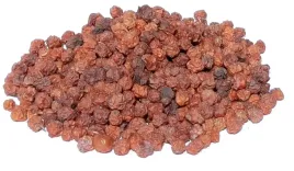 jarzebina-100g-suszone-owoce-jarzebiny