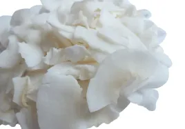 chipsy-kokosowe-100g-naturalne-skworcu
