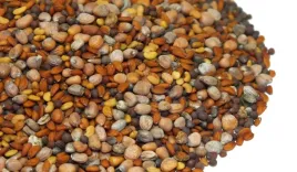 nasiona-na-kielki-mix-20g-od-skworcu