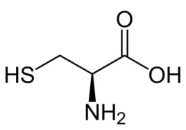 l-cysteina-l-cysteine-czysta-andgt9984percent-25g
