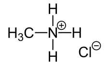 chlorowodorek-metyloaminy-greater98percent-1000g