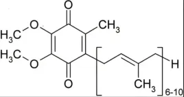 koenzym-q10-proszek-czysty-ubichinon-1000mg-1g