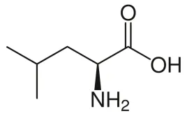 leucyna-aminokwas-rozgalez-czysty-100g