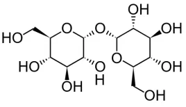 trehaloza-cukier-disacharyd-trehalose-1kg