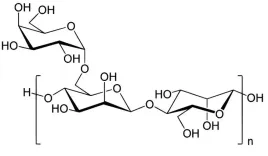 guma-guar-w-proszku-5000g