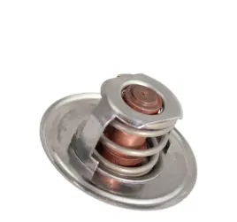termostat-premium-6005012123-ar48675-re48583-v836015156-836015156