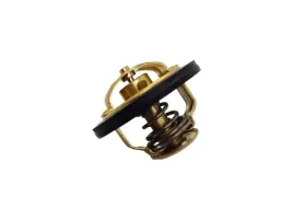 termostat-0091950010
