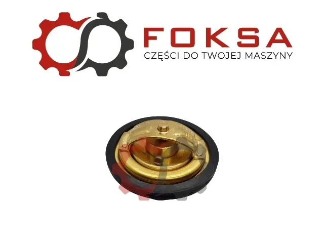 termostat-0091950010-producent-czesci-inny