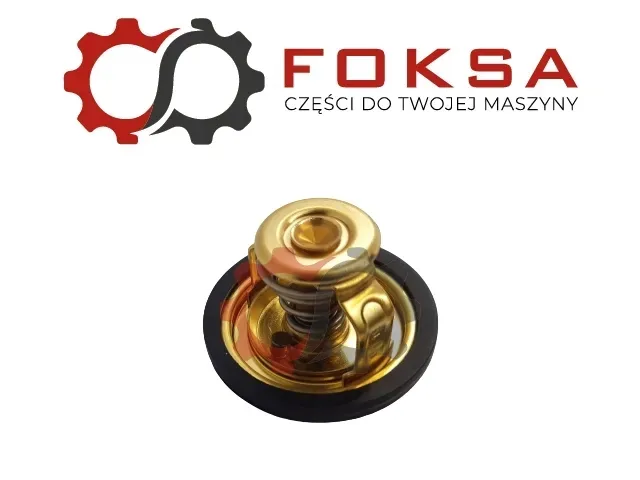 termostat-0091950010