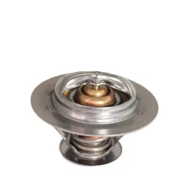 termostat-zhejiang-xinchai-490bt-490bpg-495b-495bpg-495bt-498bpg