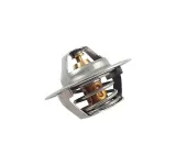termostat-3916917-ford
