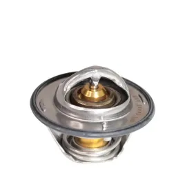 termostat-cummins-4929644-5292712