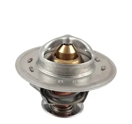 termostat-case-98463638-98463637-4823210-4703088-4655782-4823226