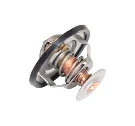 termostat-case-2830734-2852159-claas-renault-6005031321