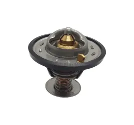 termostat-case-87803664-3059676r92-3059676r1-3059676r91-3228046r93