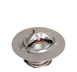termostat-toyota-809167603371-80916-76033-71