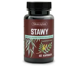 skoczylas-stawy-kadzidlowiec-indyjski-wierzba-biala-ashwaganda-60-kaps