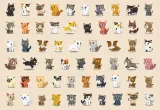 puzzle-dla-dzieci-250-elementow-koty-interdruk-liczba-elementow-250