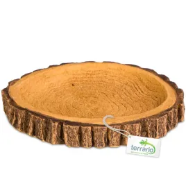 terrario-tree-ring-bowl-m-miska-do-terrarium-12x11x15-cm