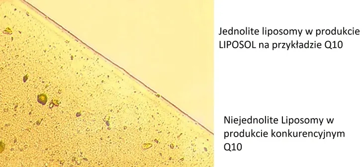 liposol-liposomalna-witamina-b-complex-plyn-250ml-postac-plyn