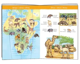 zwierzeta-swiata-puzzle-obserwacyjne-100-elem-djeco