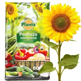 podloze-warzywne-paleta-20-x-80-l-planta