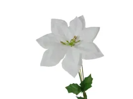 biala-gwiazda-betlejemska-galazka
