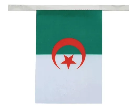 algieria-girlanda-z-flagami-algierii