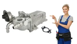 chlodnica-spalin-egr-2-3-dci-biturbo-master-iii-opel-movano-b-uszczelka