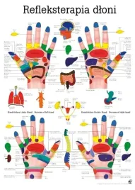 plansza-anatomiczna-refleksoterapia-dloni-or-100-x-70