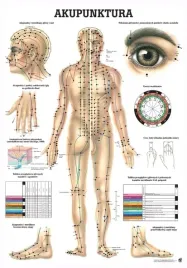 plansza-anatomiczna-akupunktura-or-100-x-70-cm