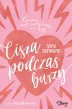 cisza-podczas-burzy