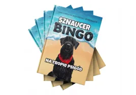 sznaucer-bingo-na-tropie-psigod
