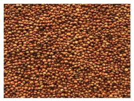 sorgo-czerwone-14kg-karma-pokarm-dla-papug-srednich-i-duzych-ptakow-pasza